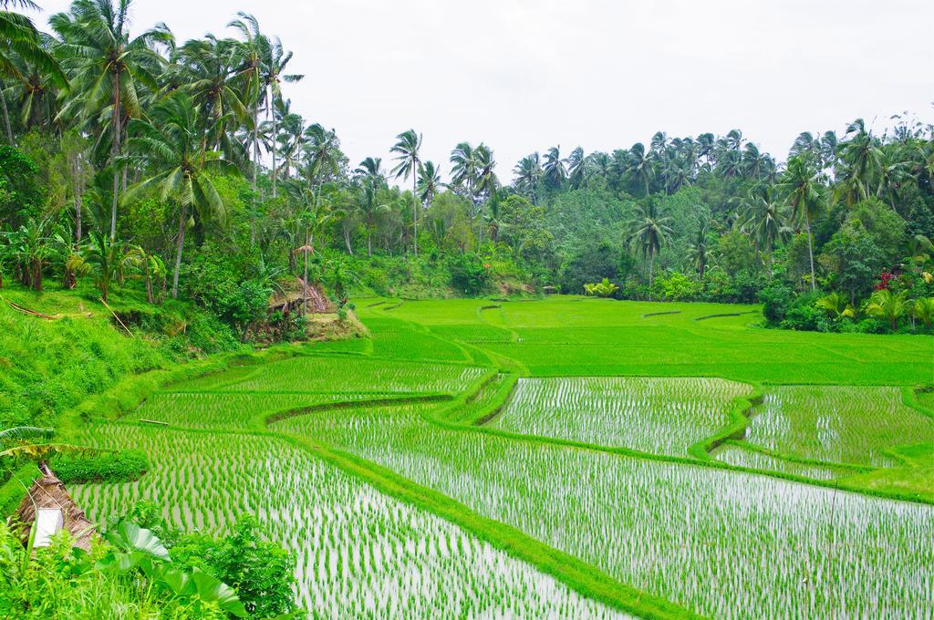 Villa Rumah Pantai Bali Selemadeg  Buitenkant foto