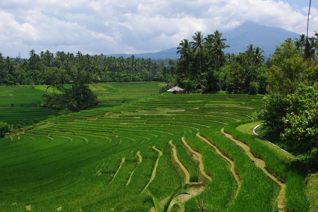 Villa Rumah Pantai Bali Selemadeg  Buitenkant foto